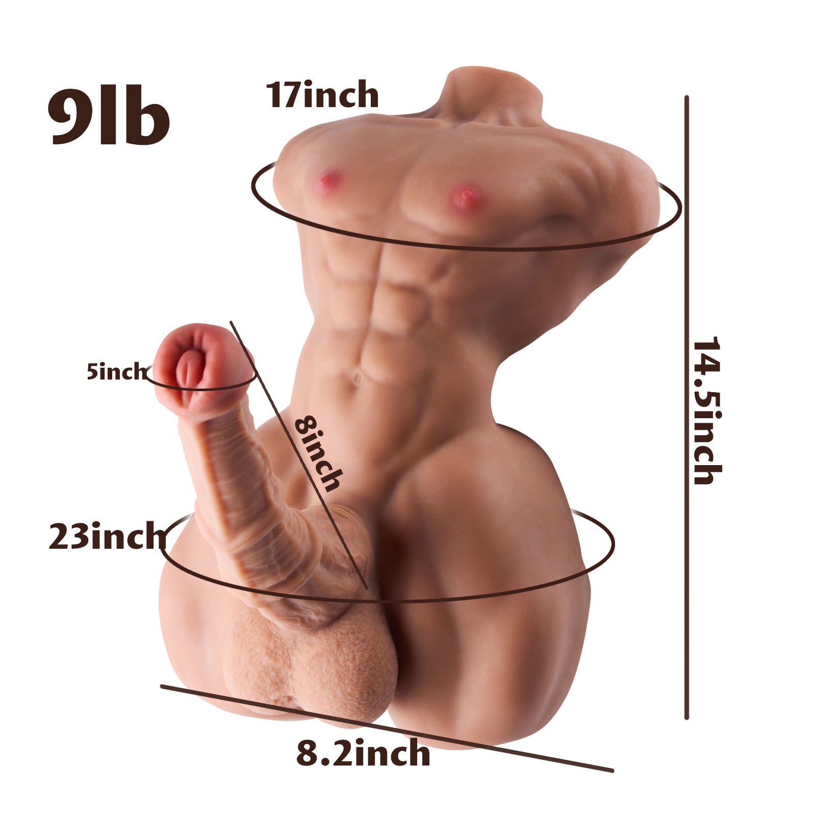 Arthur: Torso Male Sex Doll With Horse Dildo Universal Sex Toys for Men & Women