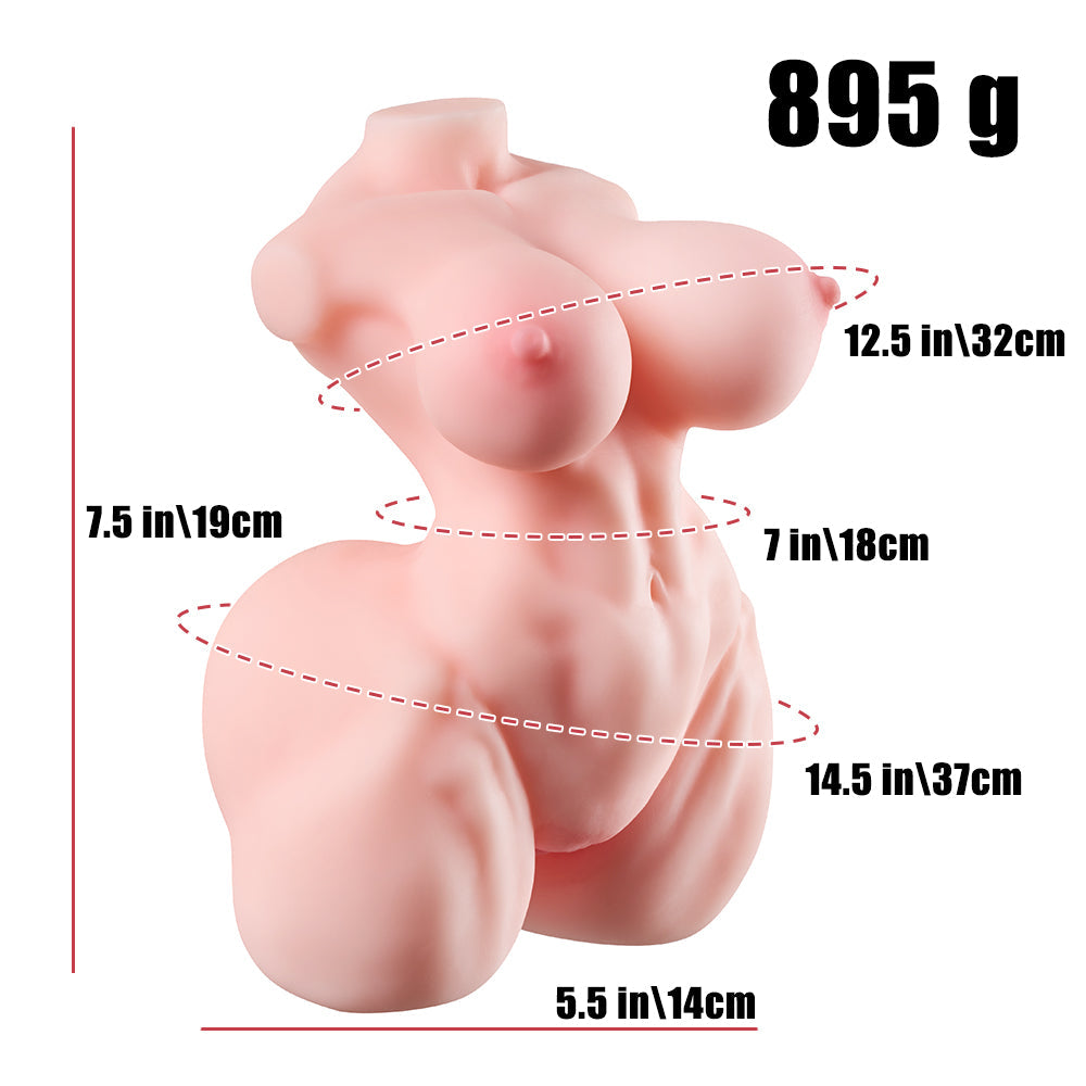 Mini Ema: Male Sex Toys Torso Sex Toy Muscle Girl Hentai
